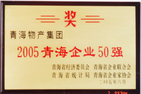 2005青海企業(yè)50強