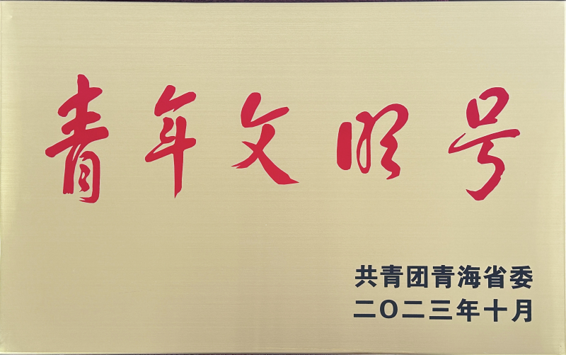 青海省臨空經(jīng)濟區(qū)開發(fā)投資有限公司榮獲 “第21屆青海青年文明號”